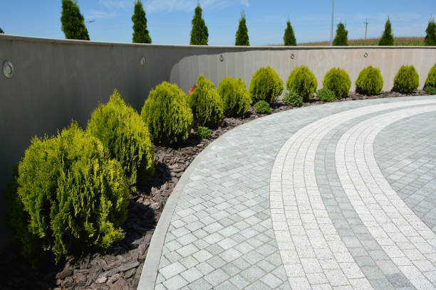 Best Decorative Driveway Pavers  in Buffalo Center, IA